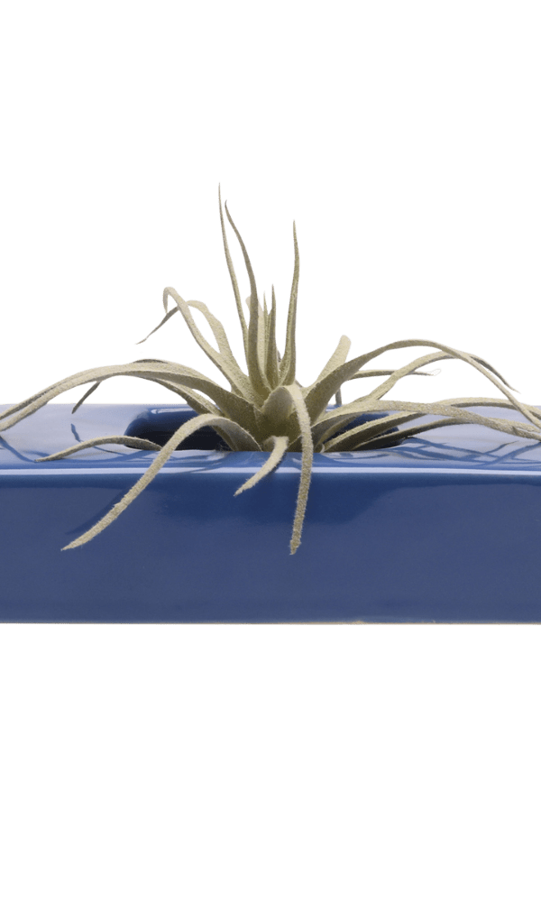 Swayzak Ceramic Dish For Ikebana Kenzans - Chive Ceramics Studio - Tools & Accessories - Chive US