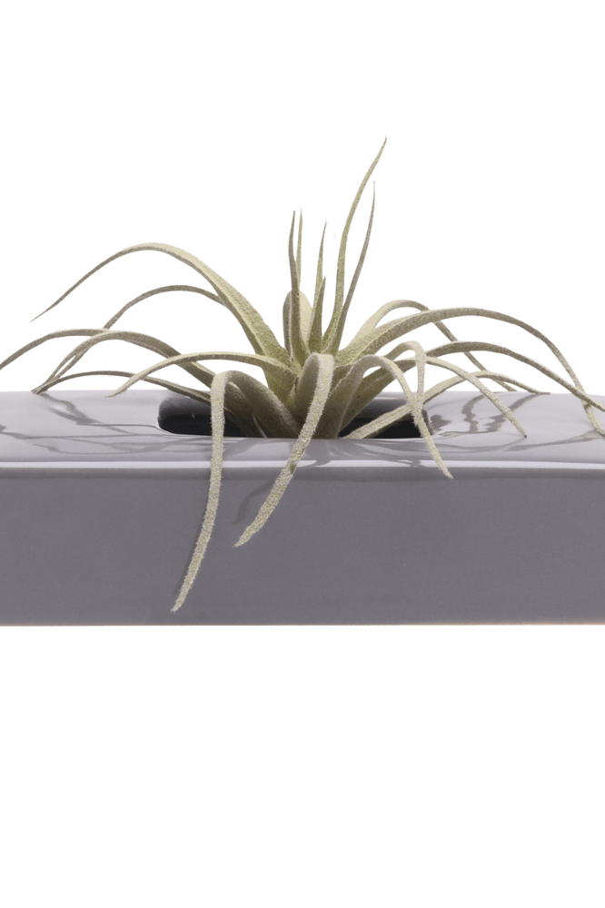 Swayzak Ceramic Dish For Ikebana Kenzans - Chive Ceramics Studio - Tools & Accessories - Chive US