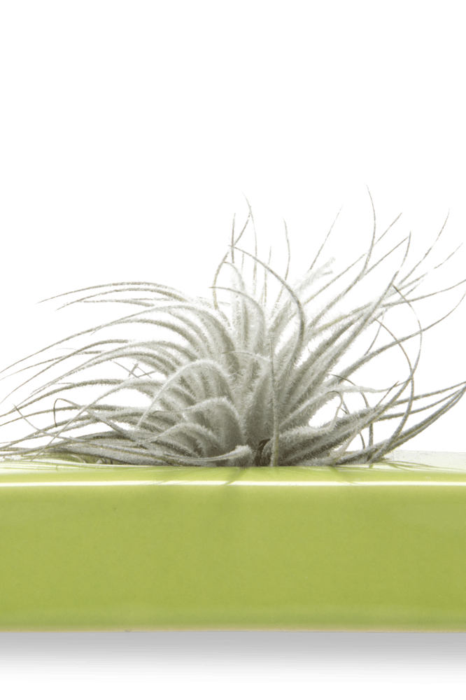 Swayzak Ceramic Dish For Ikebana Kenzans - Chive Ceramics Studio - Tools & Accessories - Chive US