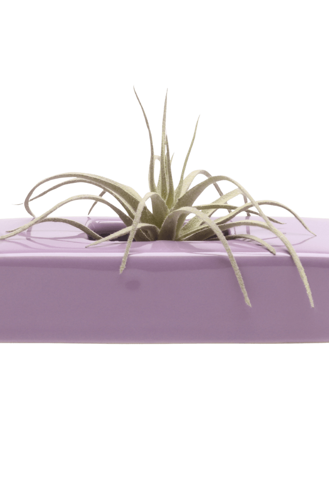 Swayzak Ceramic Dish For Ikebana Kenzans - Chive Ceramics Studio - Tools & Accessories - Chive US