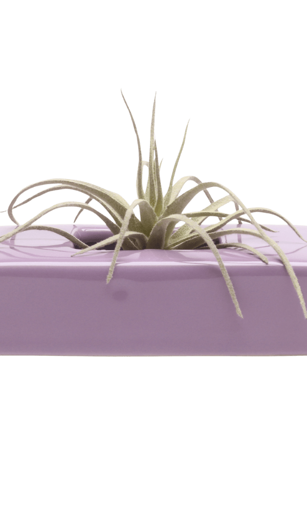 Swayzak Ceramic Dish For Ikebana Kenzans - Chive Ceramics Studio - Tools & Accessories - Chive US