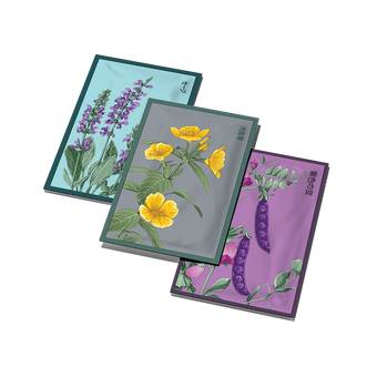 trio of Shido Seed, Lavender, Primrose and Purple Pea seed packets — designed by Chive Studio Toronto