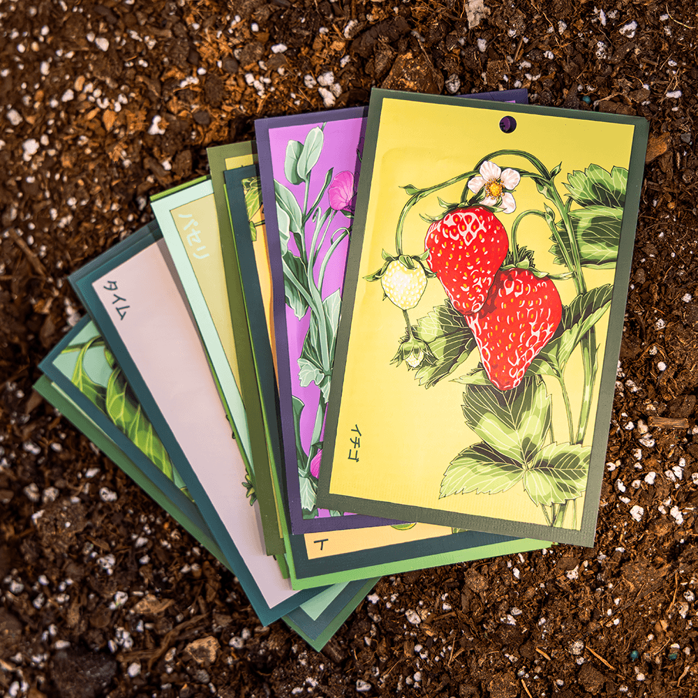 Set of Chive Shido Seeds packets with fruit and flower illustrations on a soil background.