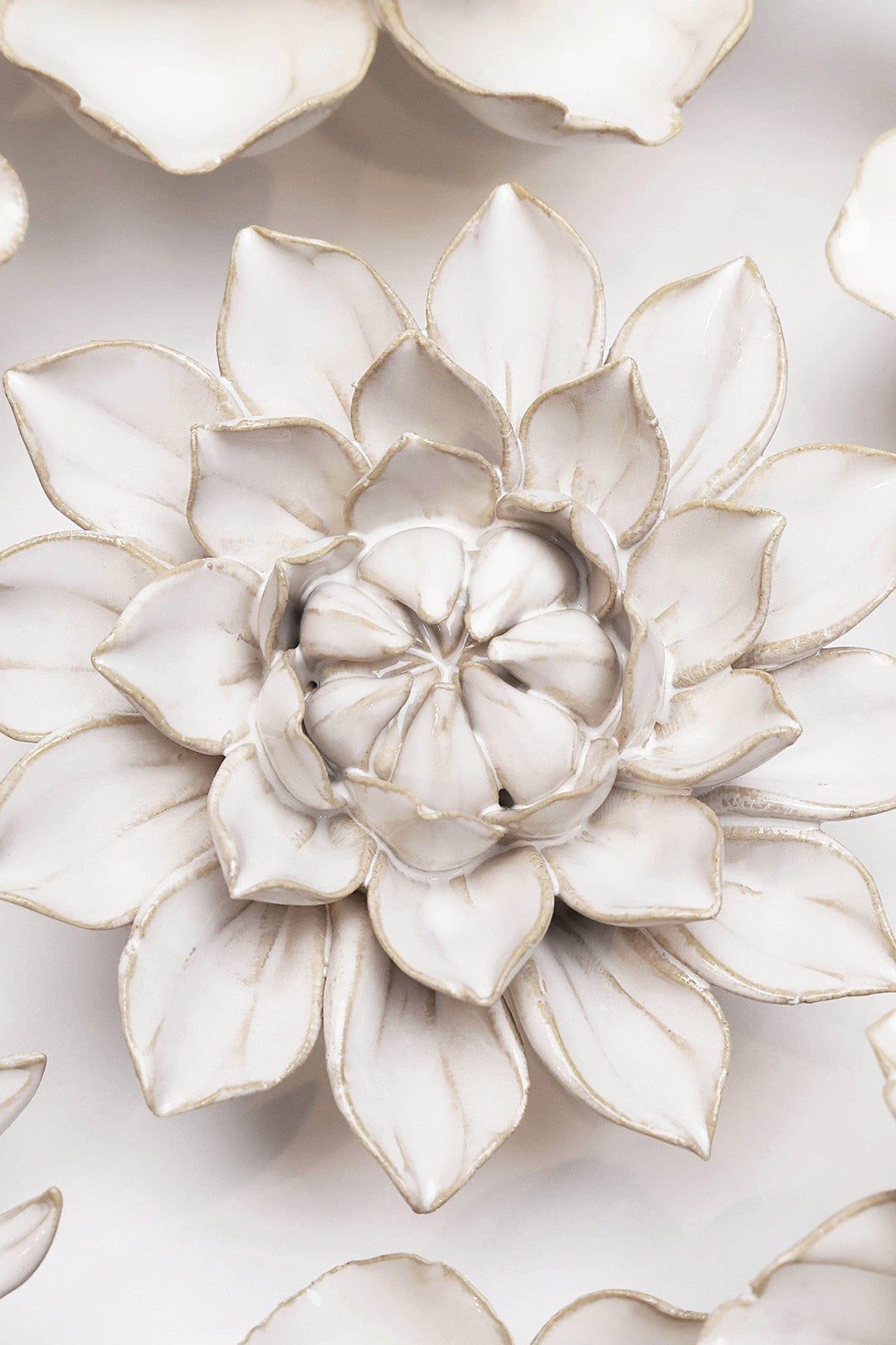 September Birth Flower - Aster ceramic wall flower styled on wall — Birth Flower Collection — Chive Studio Toronto
