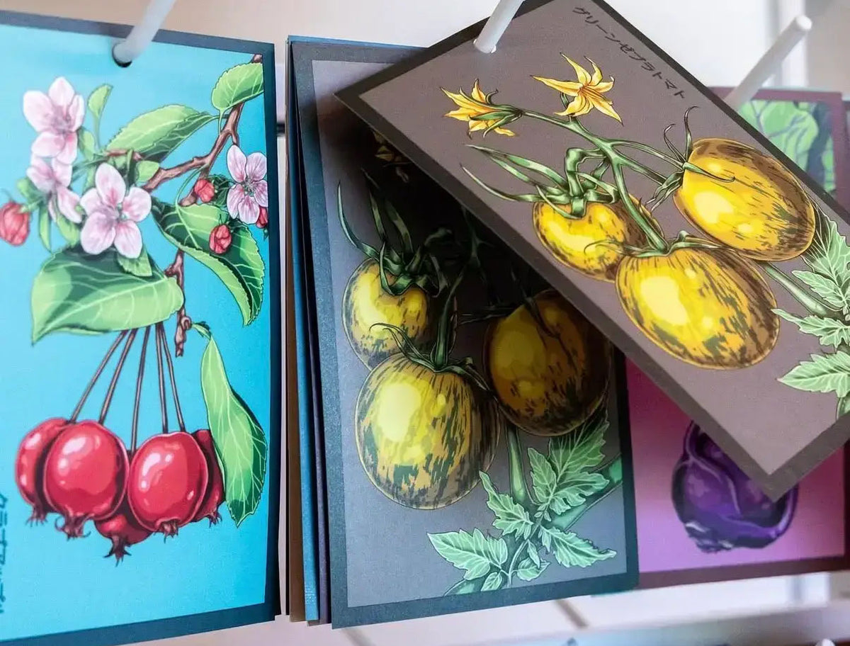 Chive Shido seed packets with botanical illustrations on a peg rack, showing cherry blossom, tomato, and eggplant designs.