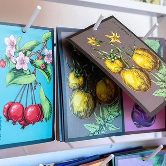 Chive Shido seed packets with botanical illustrations on a peg rack, showing cherry blossom, tomato, and eggplant designs.