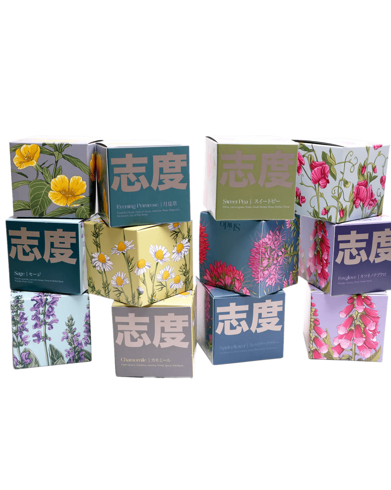 Shido Coconut Soy Blend Candle - Chive Ceramics Studio - Candles - Chive Ceramics Studio