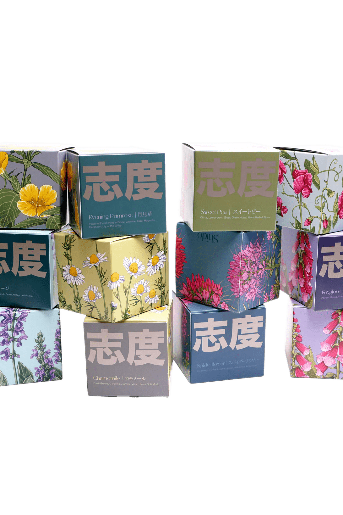 Shido Coconut Soy Blend Candle - Chive Ceramics Studio - Candles - Chive Ceramics Studio