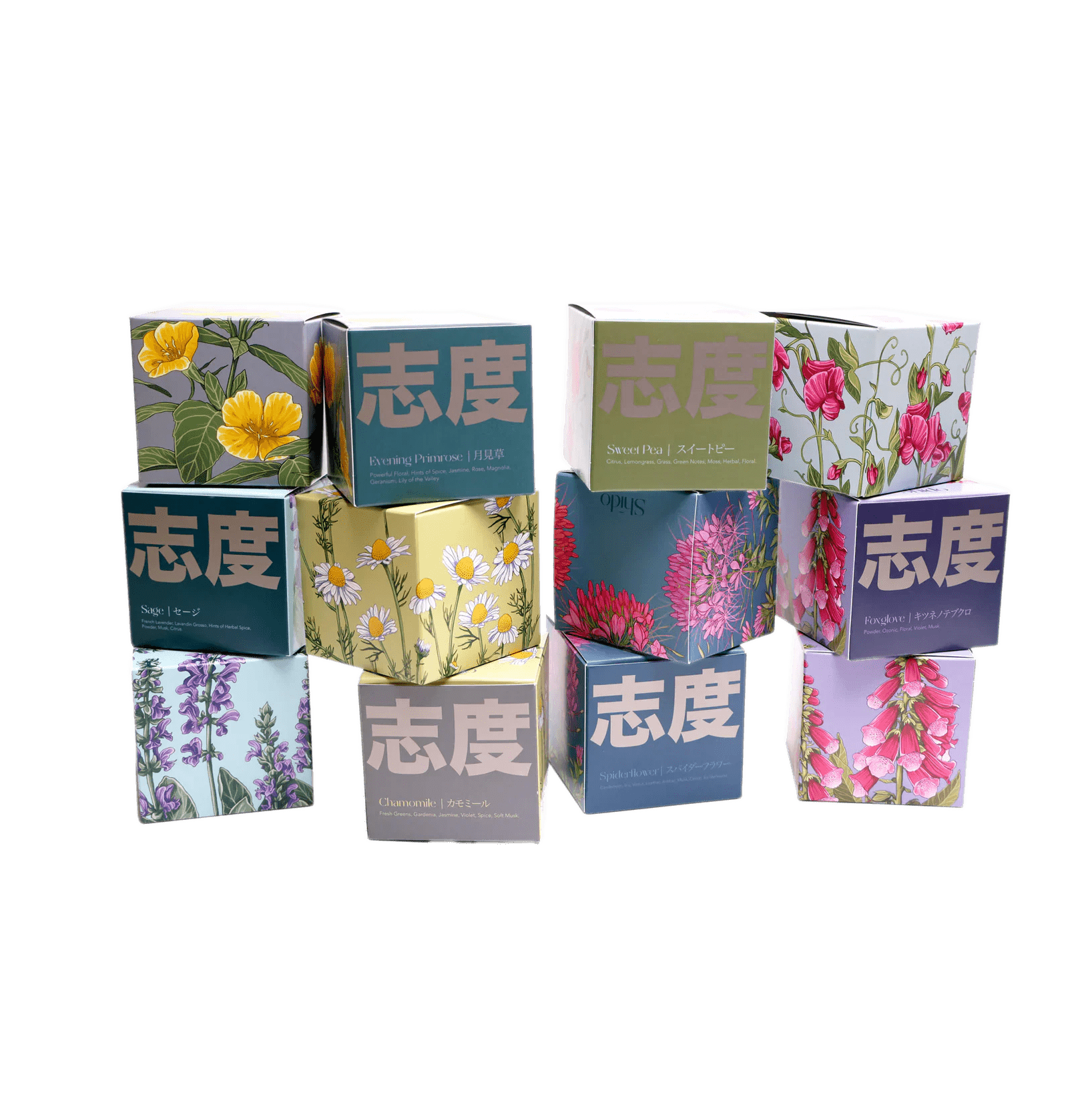 Shido Coconut Soy Blend Candle - Chive Ceramics Studio - Candles - Chive Ceramics Studio