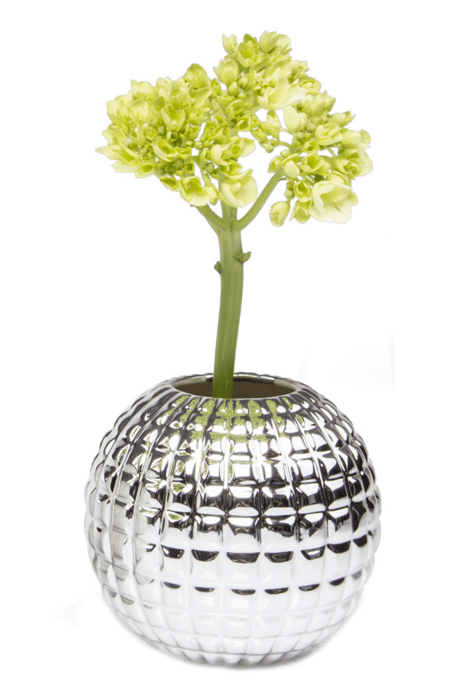 Tac Porcelain Flower Vase - Chive Ceramics Studio - Vases - Chive US