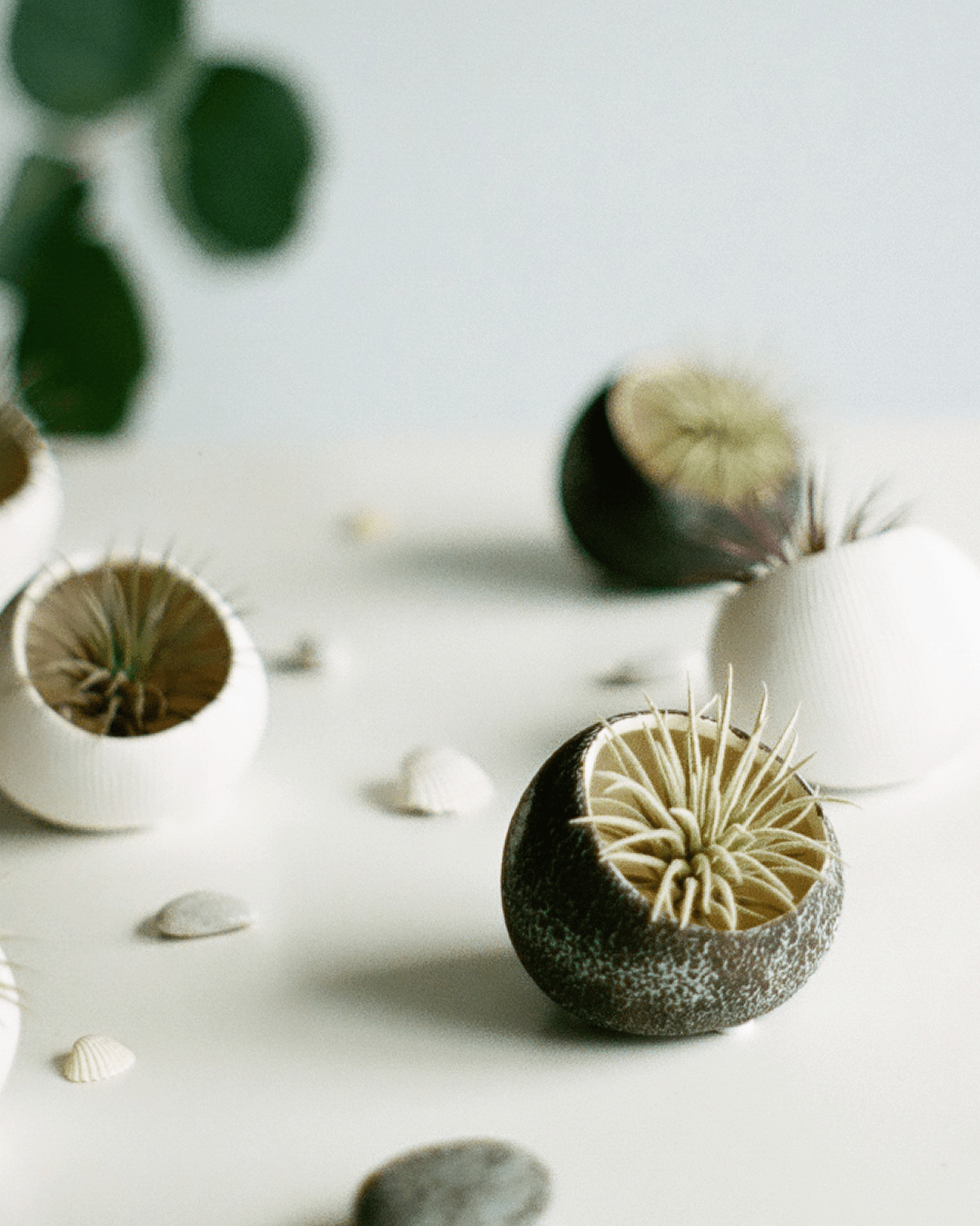 Terrarium Koski Ceramic Air Plant Holder - Chive Ceramics Studio - Terrariums - Chive Ceramics Studio