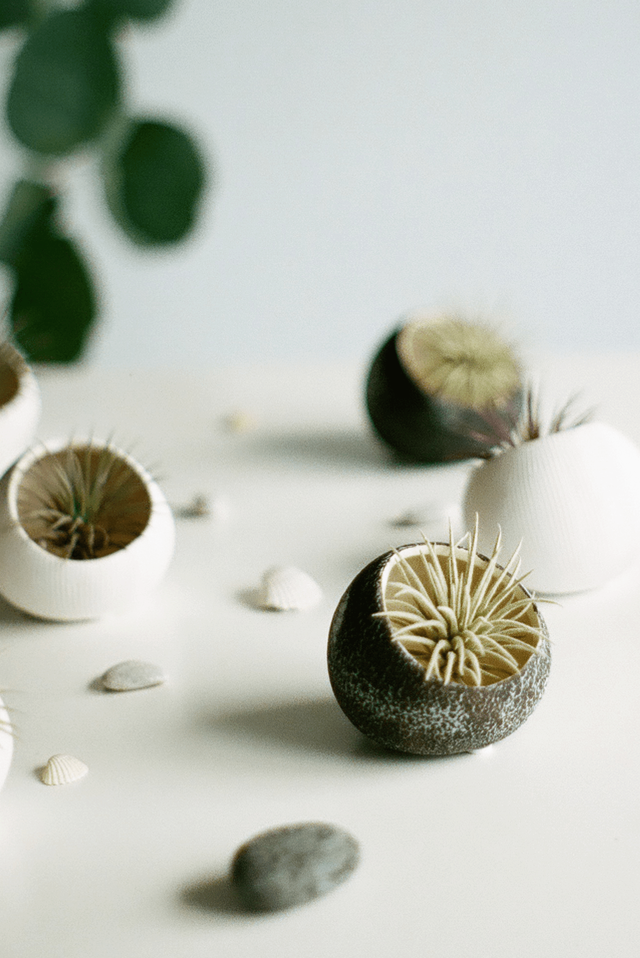 Terrarium Koski Ceramic Air Plant Holder - Chive Ceramics Studio - Terrariums - Chive Ceramics Studio