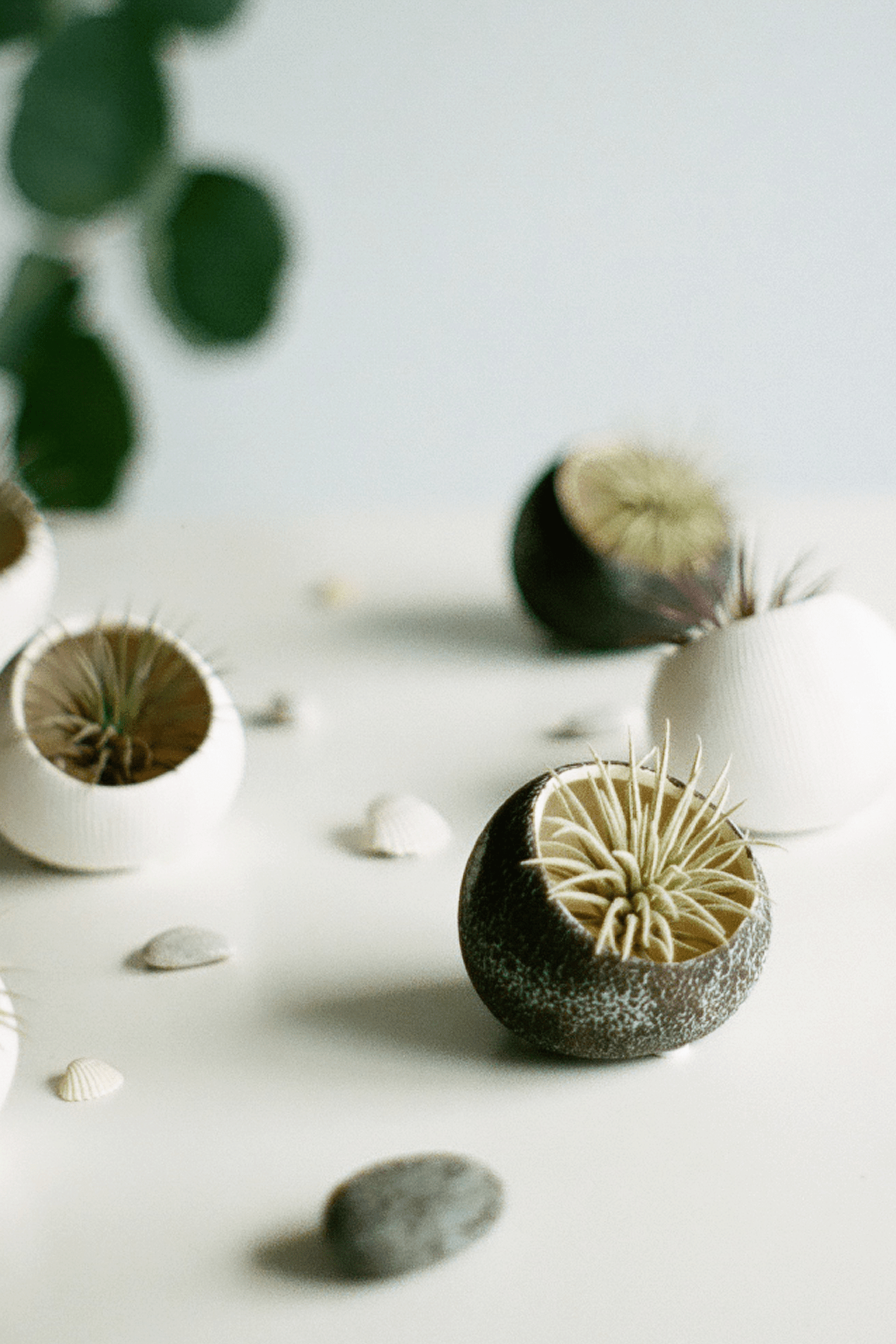 Terrarium Koski Ceramic Air Plant Holder - Chive Ceramics Studio - Terrariums - Chive Ceramics Studio