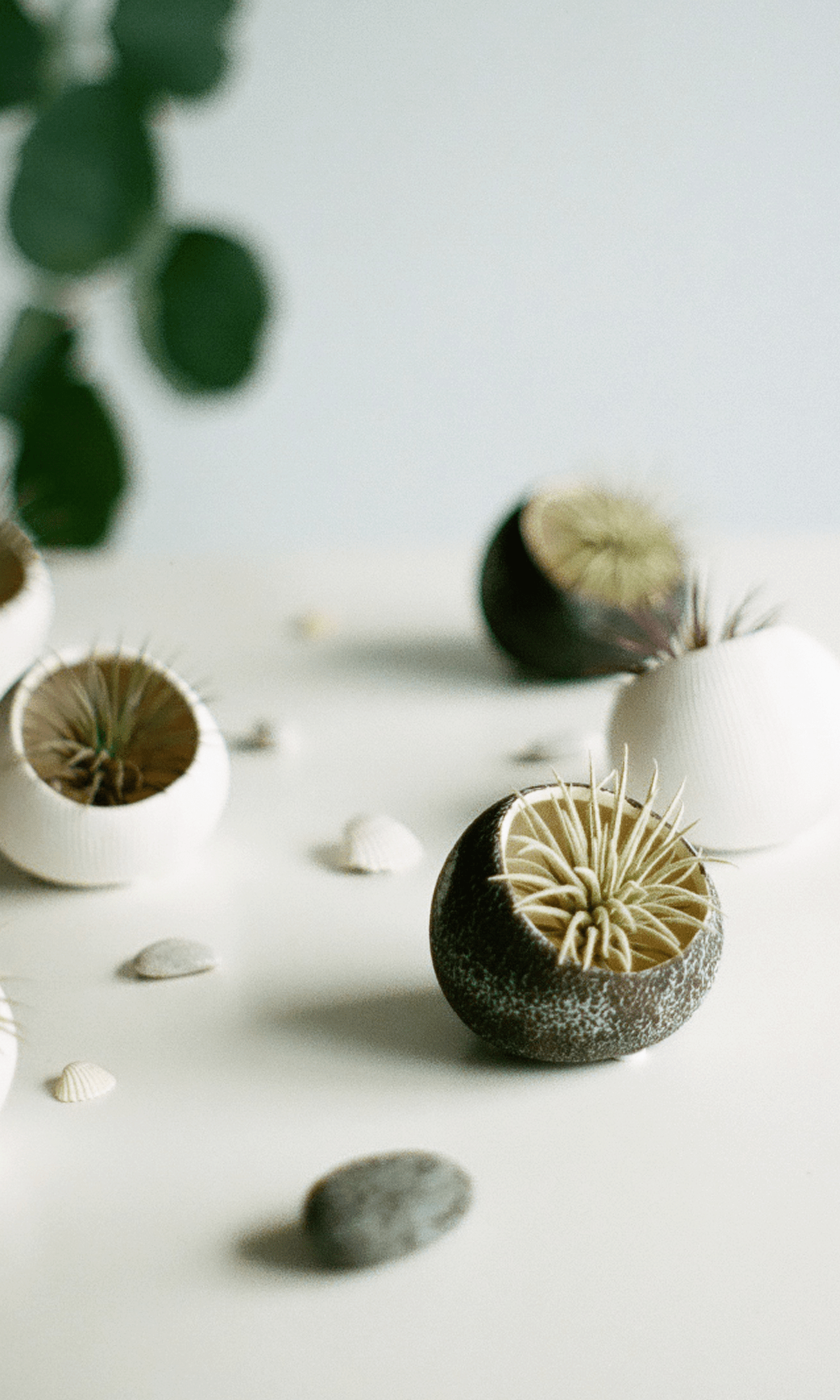 Terrarium Koski Ceramic Air Plant Holder - Chive Ceramics Studio - Terrariums - Chive Ceramics Studio