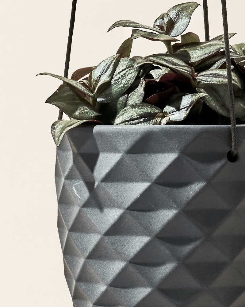 Thimble Porcelain Modern Hanging Planter - Chive Ceramics Studio - Pots - Chive US