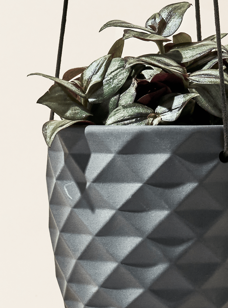 Thimble Porcelain Modern Hanging Planter - Chive Ceramics Studio - Pots - Chive US