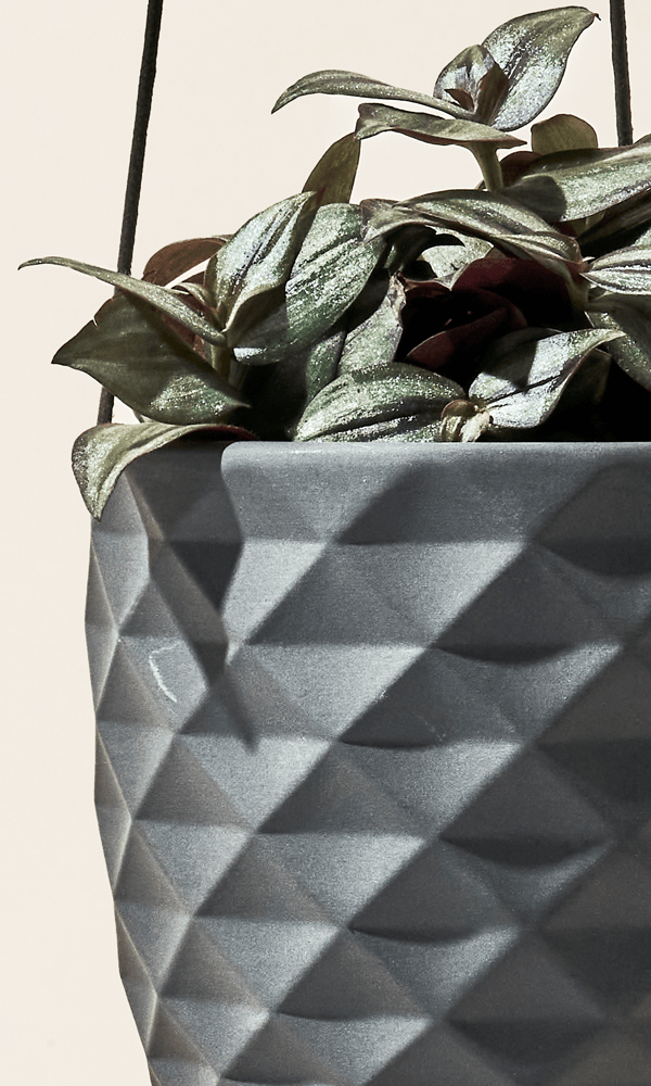 Thimble Porcelain Modern Hanging Planter - Chive Ceramics Studio - Pots - Chive US