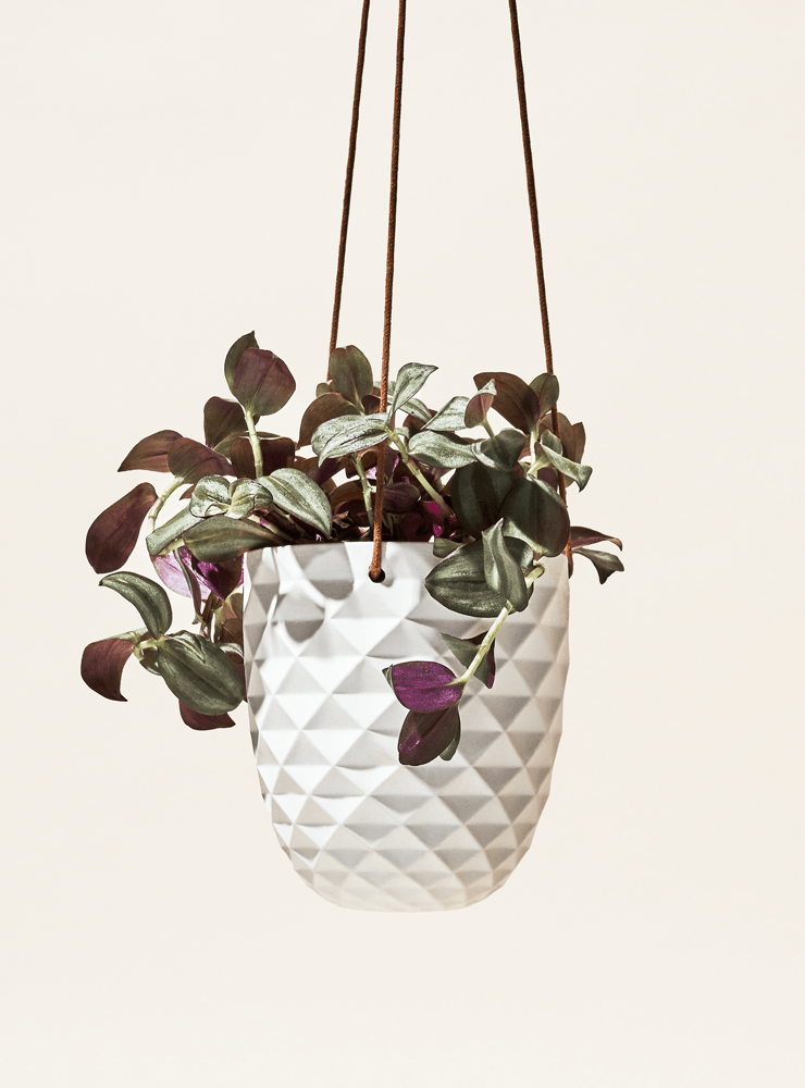 Thimble Porcelain Modern Hanging Planter - Chive Ceramics Studio - Pots - Chive US