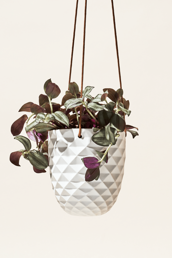 Thimble Porcelain Modern Hanging Planter - Chive Ceramics Studio - Pots - Chive US