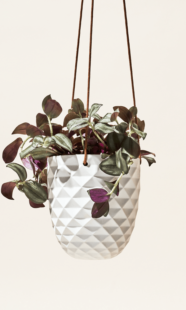 Thimble Porcelain Modern Hanging Planter - Chive Ceramics Studio - Pots - Chive US