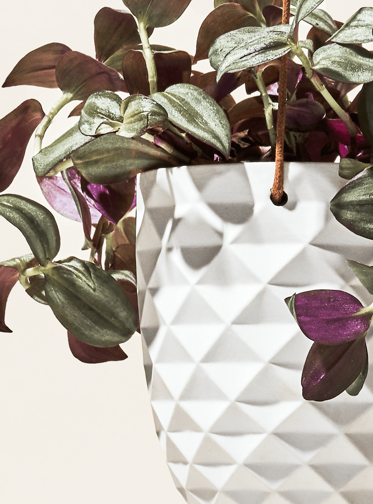 Thimble Porcelain Modern Hanging Planter - Chive Ceramics Studio - Pots - Chive US