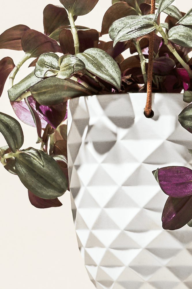 Thimble Porcelain Modern Hanging Planter - Chive Ceramics Studio - Pots - Chive US