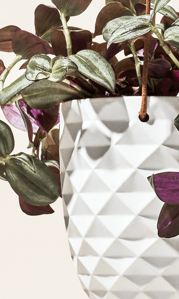 Thimble Porcelain Modern Hanging Planter - Chive Ceramics Studio - Pots - Chive US