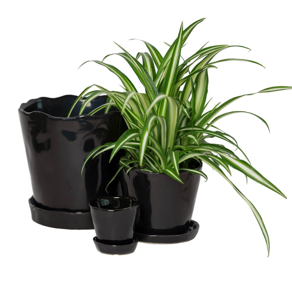 Tika Pot & Saucer | 3 inch - Chive Ceramics Studio - Pots - Chive Ceramics Studio