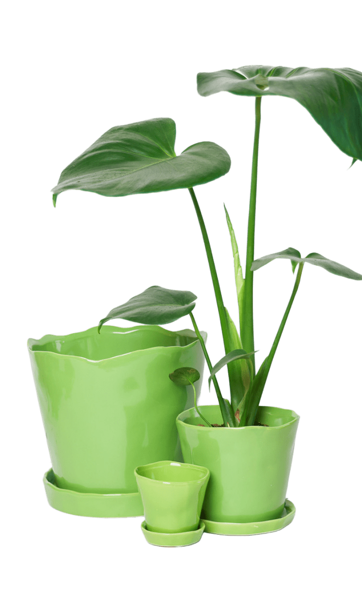 Tika Pot & Saucer | 8 & 10 inch - Chive Ceramics Studio - Pots - Chive Ceramics Studio