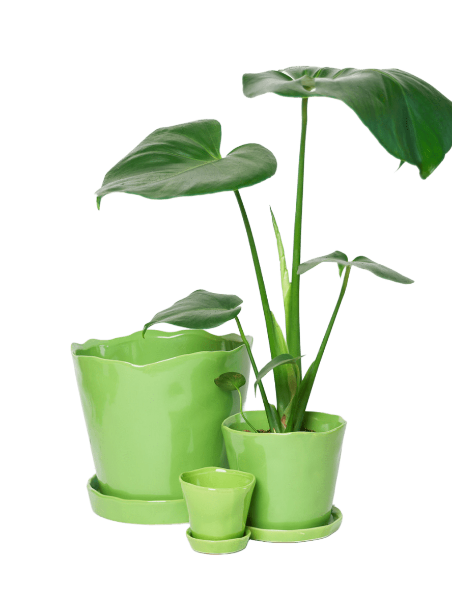 Tika Pot & Saucer | 8 & 10 inch - Chive Ceramics Studio - Pots - Chive Ceramics Studio