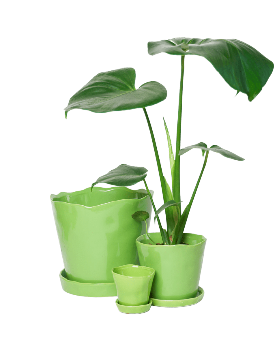 Tika Pot & Saucer | 8 & 10 inch - Chive Ceramics Studio - Pots - Chive Ceramics Studio