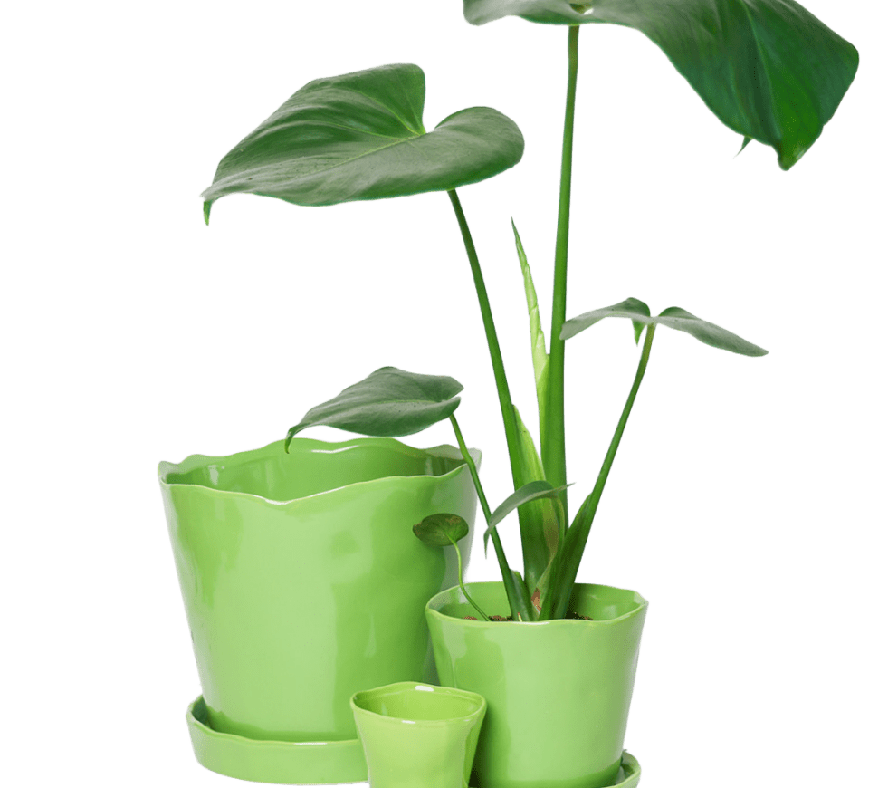 Tika Pot & Saucer | 3 inch - Chive Ceramics Studio - Pots - Chive Ceramics Studio