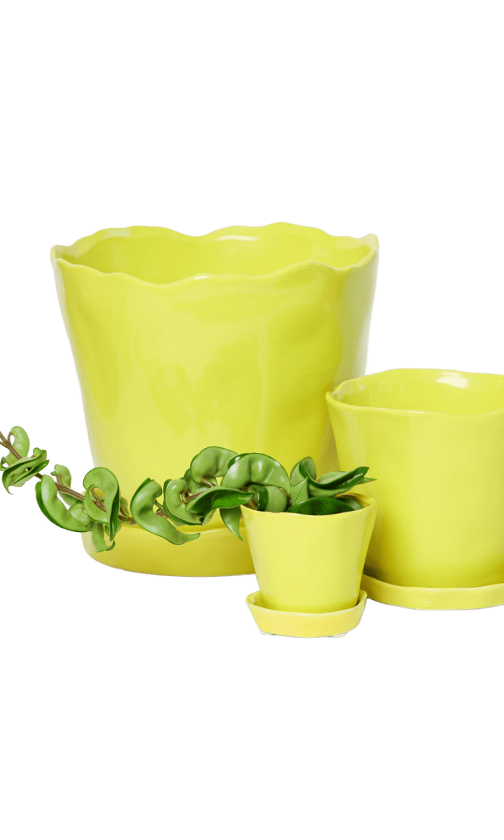 Tika Pot & Saucer | 8 & 10 inch - Chive Ceramics Studio - Pots - Chive Ceramics Studio