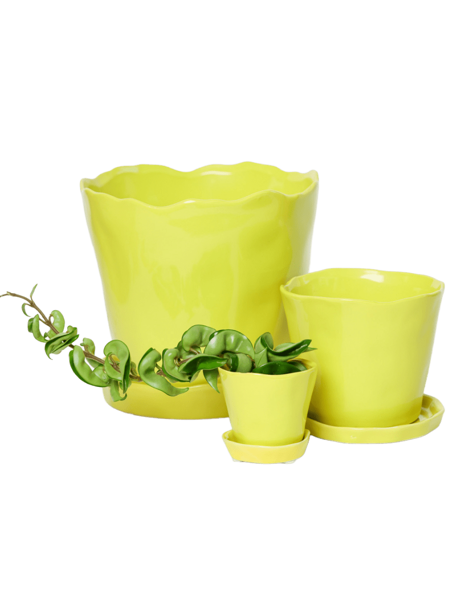 Tika Pot & Saucer | 8 & 10 inch - Chive Ceramics Studio - Pots - Chive Ceramics Studio