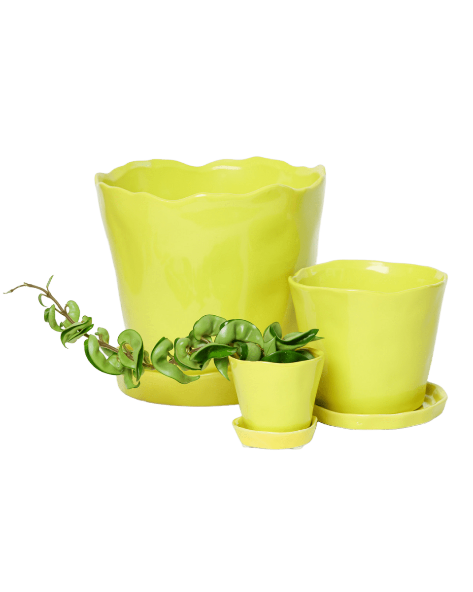 Tika Pot & Saucer | 8 & 10 inch - Chive Ceramics Studio - Pots - Chive Ceramics Studio