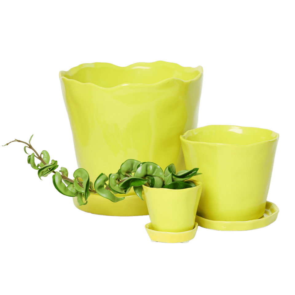 Tika Pot & Saucer | 3 inch - Chive Ceramics Studio - Pots - Chive Ceramics Studio