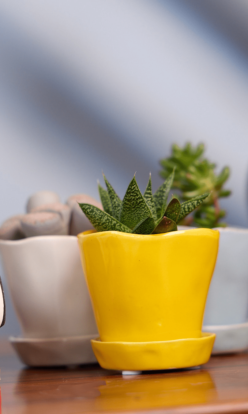 Tika Pot & Saucer | 3 inch - Chive Ceramics Studio - Pots - Chive Ceramics Studio