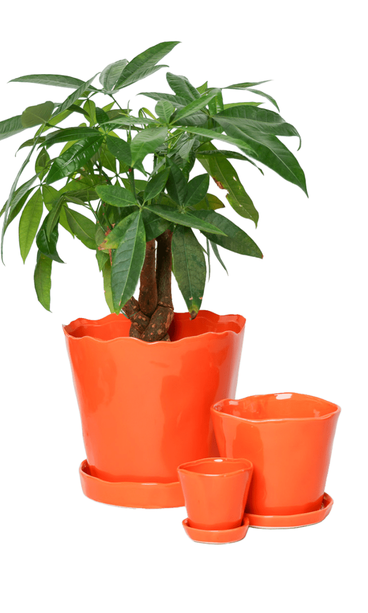 Tika Pot & Saucer | 3 inch - Chive Ceramics Studio - Pots - Chive Ceramics Studio