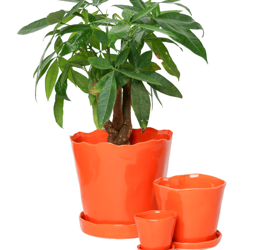 Tika Pot & Saucer | 3 inch - Chive Ceramics Studio - Pots - Chive Ceramics Studio