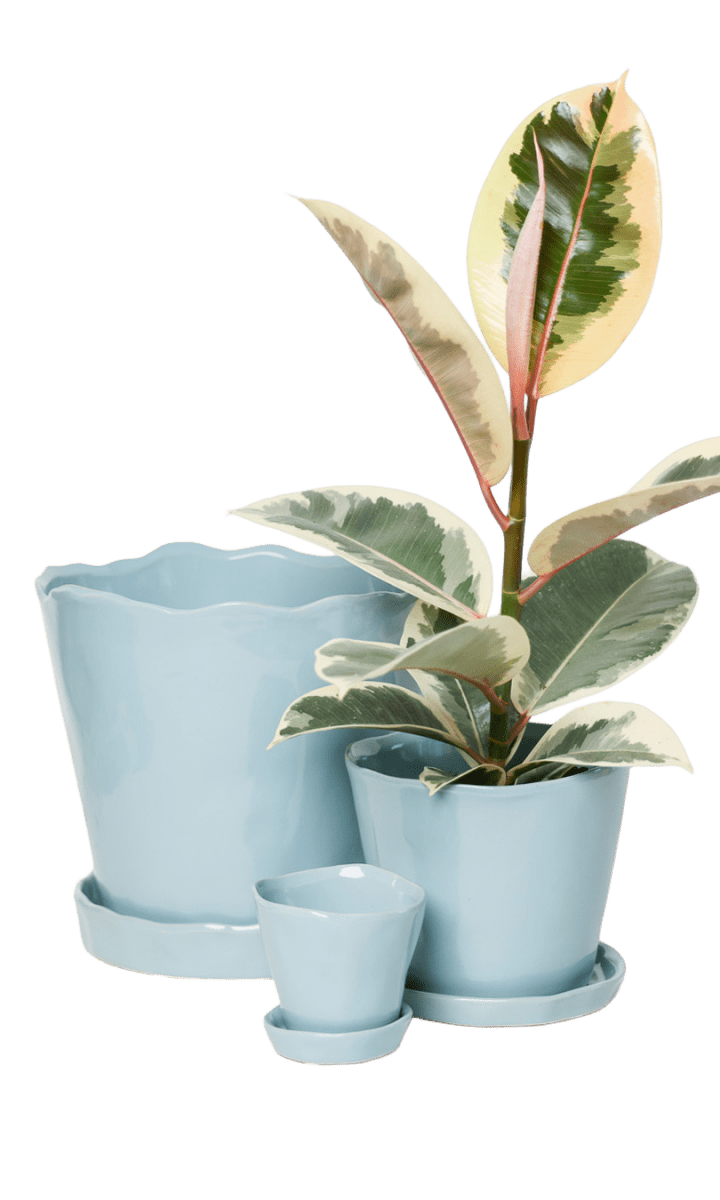 Tika Pot & Saucer | 8 & 10 inch - Chive Ceramics Studio - Pots - Chive Ceramics Studio