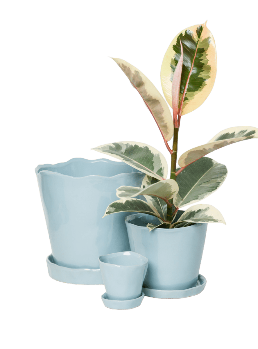 Tika Pot & Saucer | 8 & 10 inch - Chive Ceramics Studio - Pots - Chive Ceramics Studio