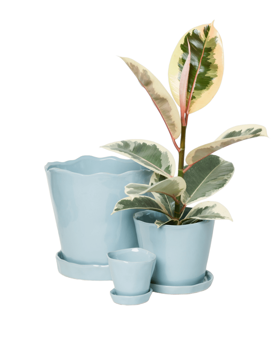 Tika Pot & Saucer | 8 & 10 inch - Chive Ceramics Studio - Pots - Chive Ceramics Studio