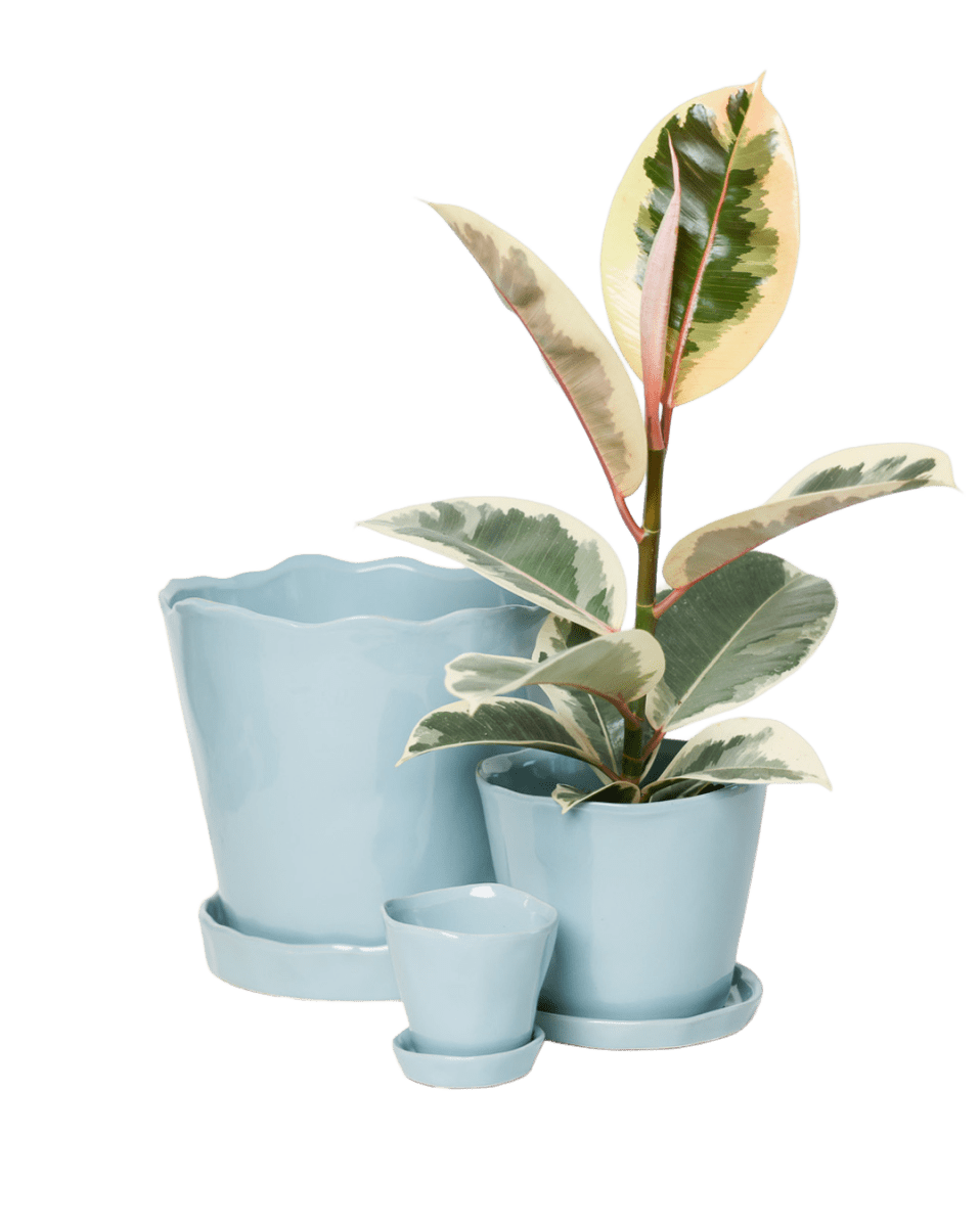 Tika Pot & Saucer | 3 inch - Chive Ceramics Studio - Pots - Chive Ceramics Studio