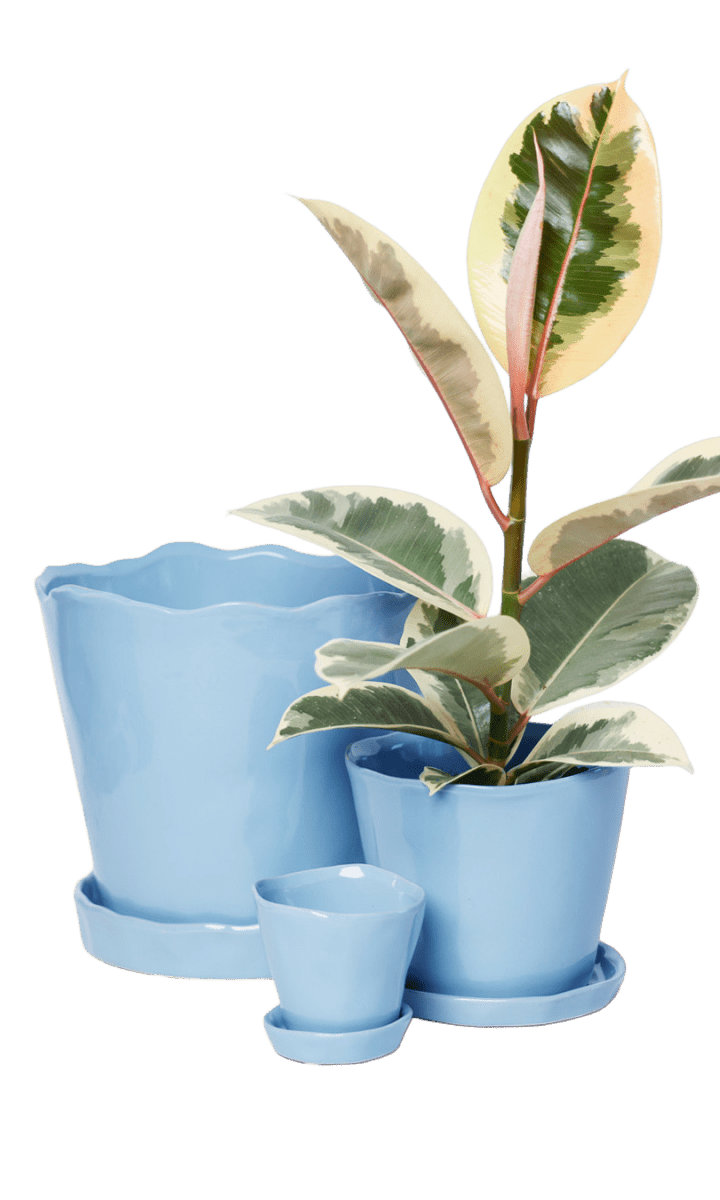 Tika Pot & Saucer | 8 & 10 inch - Chive Ceramics Studio - Pots - Chive Ceramics Studio