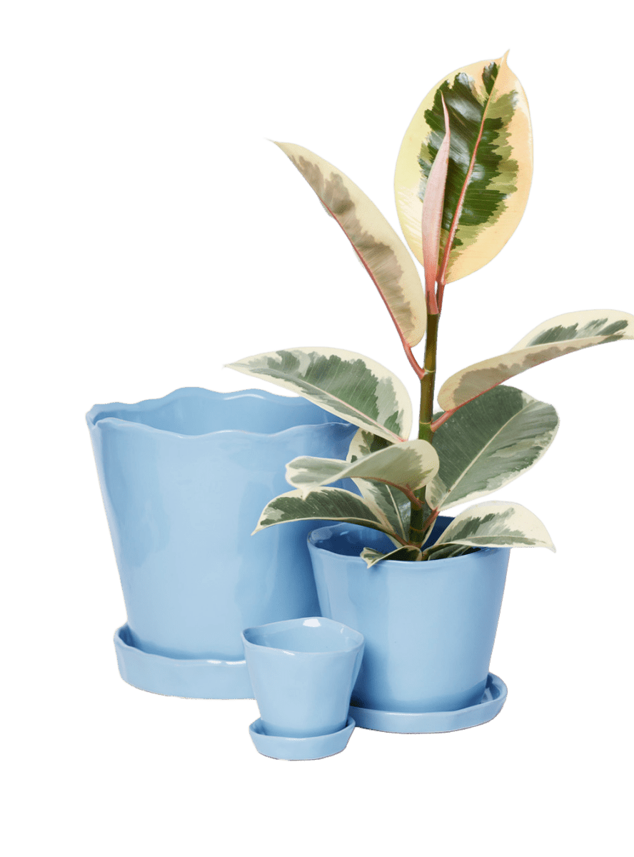 Tika Pot & Saucer | 8 & 10 inch - Chive Ceramics Studio - Pots - Chive Ceramics Studio