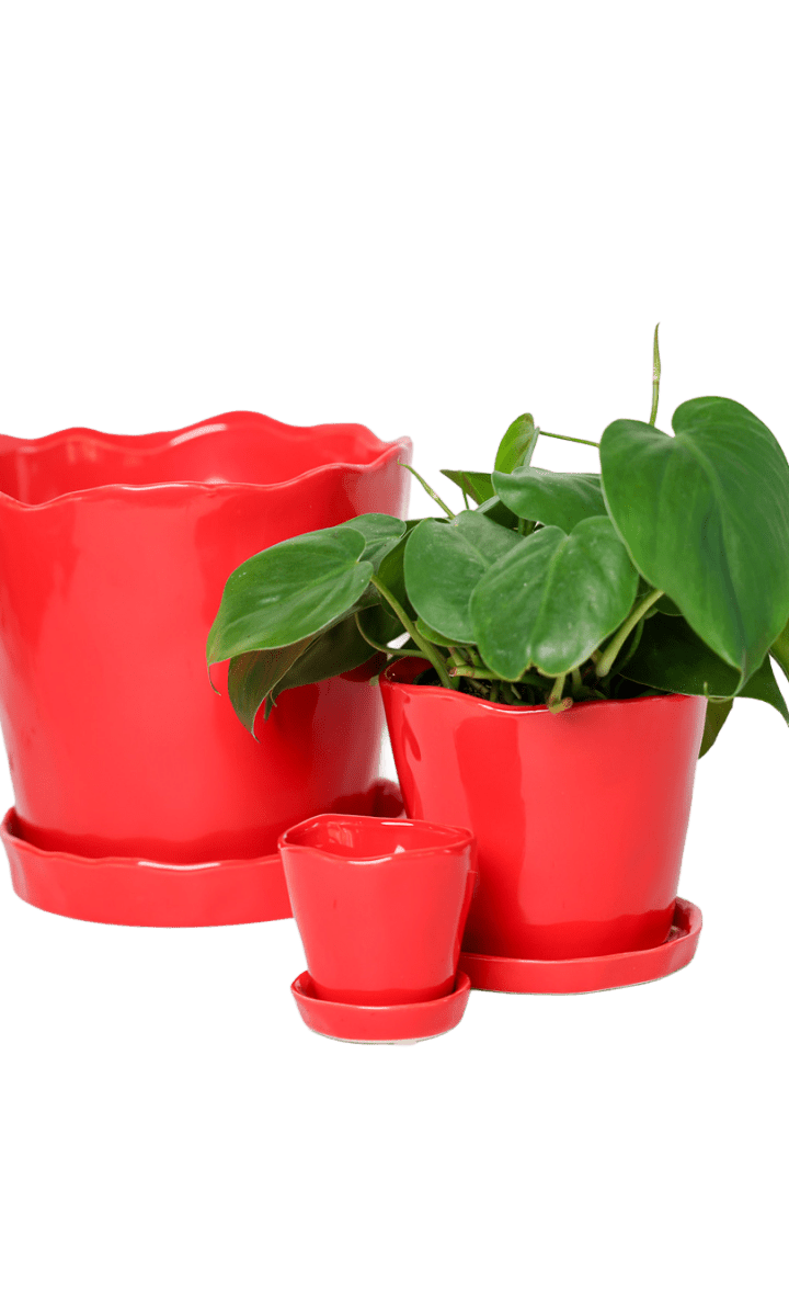 Tika Pot & Saucer | 8 & 10 inch - Chive Ceramics Studio - Pots - Chive Ceramics Studio