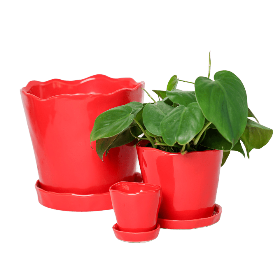 Tika Pot & Saucer | 3 inch - Chive Ceramics Studio - Pots - Chive Ceramics Studio