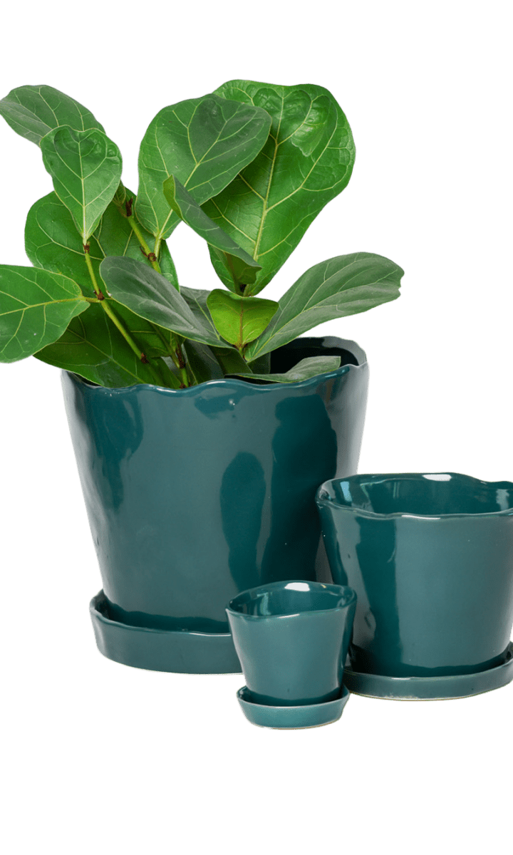 Tika Pot & Saucer | 8 & 10 inch - Chive Ceramics Studio - Pots - Chive Ceramics Studio
