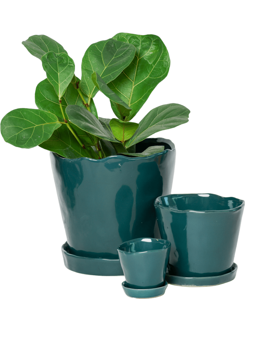 Tika Pot & Saucer | 8 & 10 inch - Chive Ceramics Studio - Pots - Chive Ceramics Studio