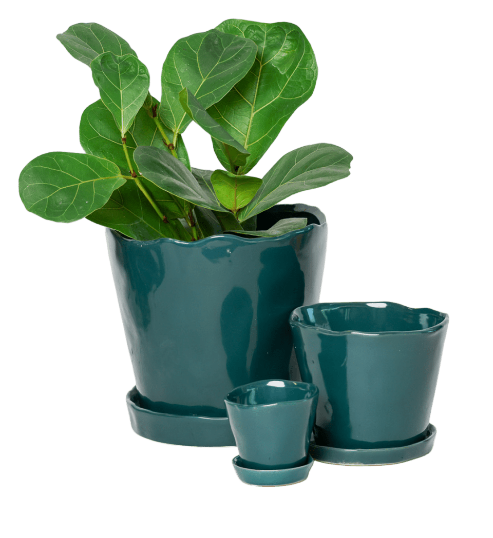 Tika Pot & Saucer | 3 inch - Chive Ceramics Studio - Pots - Chive Ceramics Studio